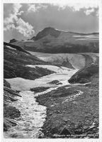Rheinquelle, Rheinwaldhorn