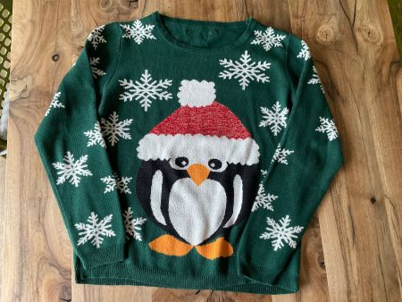 Weihnachtspullover mit Pinguin, Winter