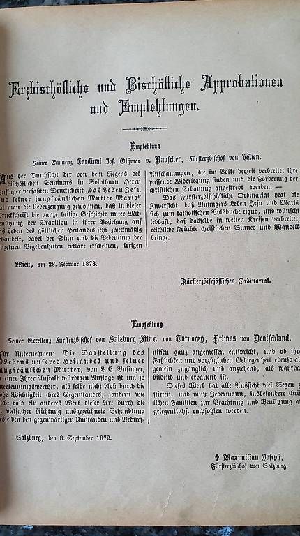 Libri: Bibel L C Businger Leben Jesu um 1873 – Usato da Zürich venduto da mechanixall 2