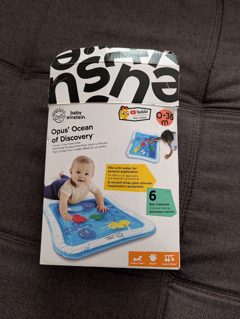 Spielmatte: Baby Einstein Wassermatte – Gebraucht aus St. Gallen von tadi09 2