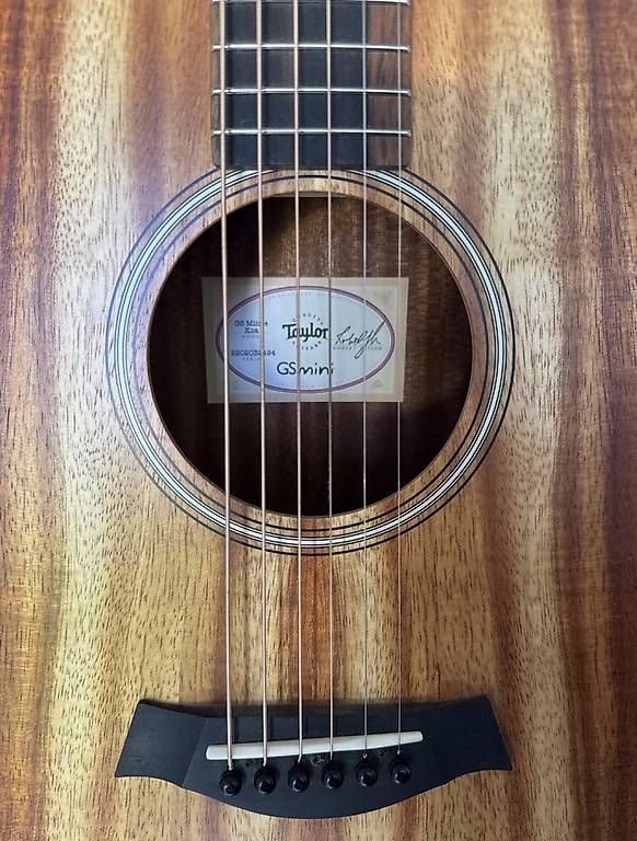 Strumenti musicali: Guitare Taylor GS mini e (Koa) – Usato da Coppet venduto da m_m_nz2f 2