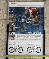 Arrow Poster Balz Weber Cross Country Weltmeister selten!