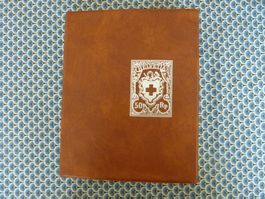 Lot lettres et CP suisse (695)