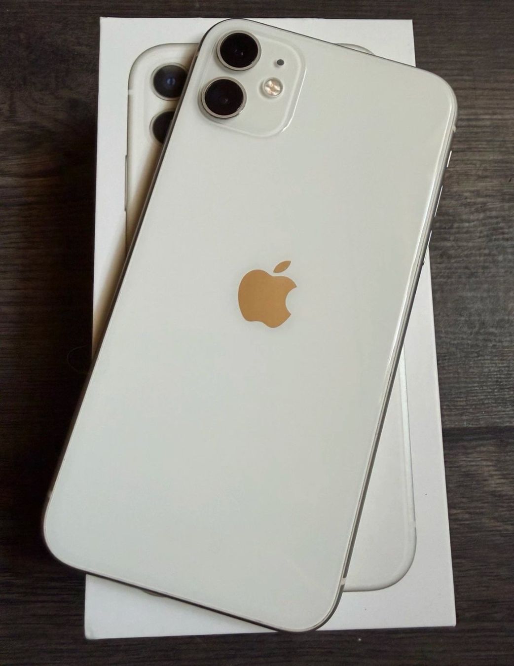 Apple Telefoni cellulari / Smartphones: iPhone 11 (64GB) Akku 99% – Usato da Luzern venduto da Waince786