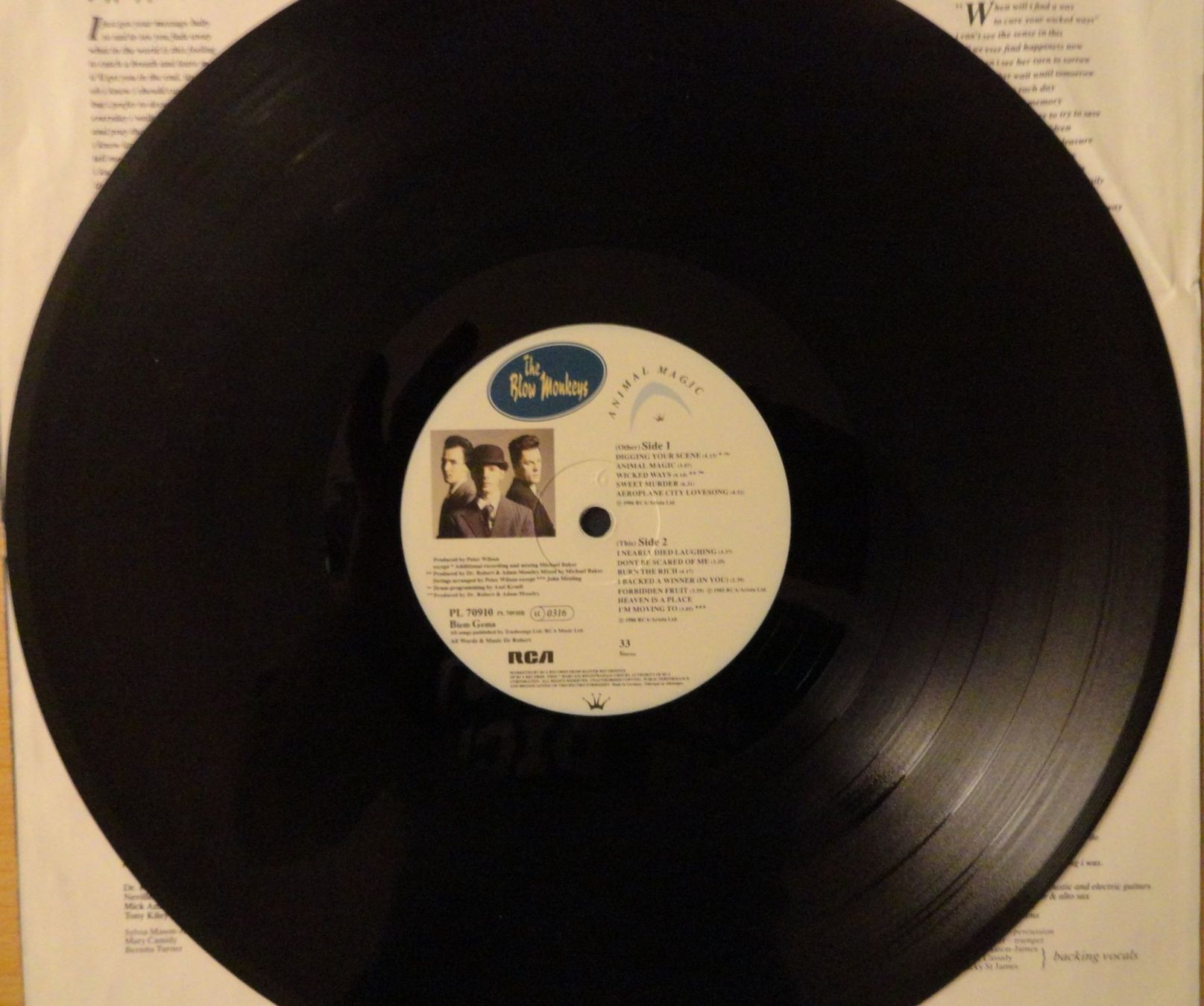 Dischi in vinile: THE BLOW MONKEYS - Animal Magic – Usato da Neftenbach venduto da Verk13 2