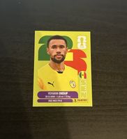 PANINI SEN / YEHVANN DIOUF (3)