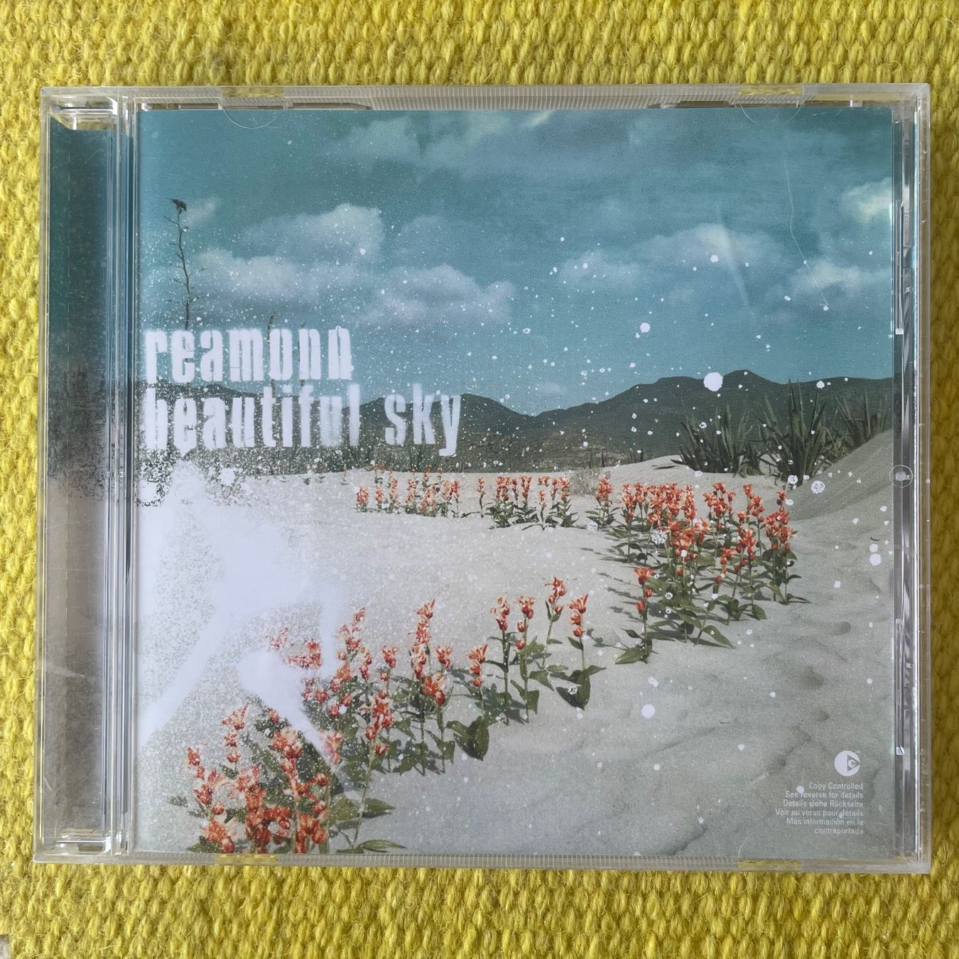 CD: REAMONN-BEAUTIFUL SKY – Usato da Rorschacherberg venduto da CD-Roli