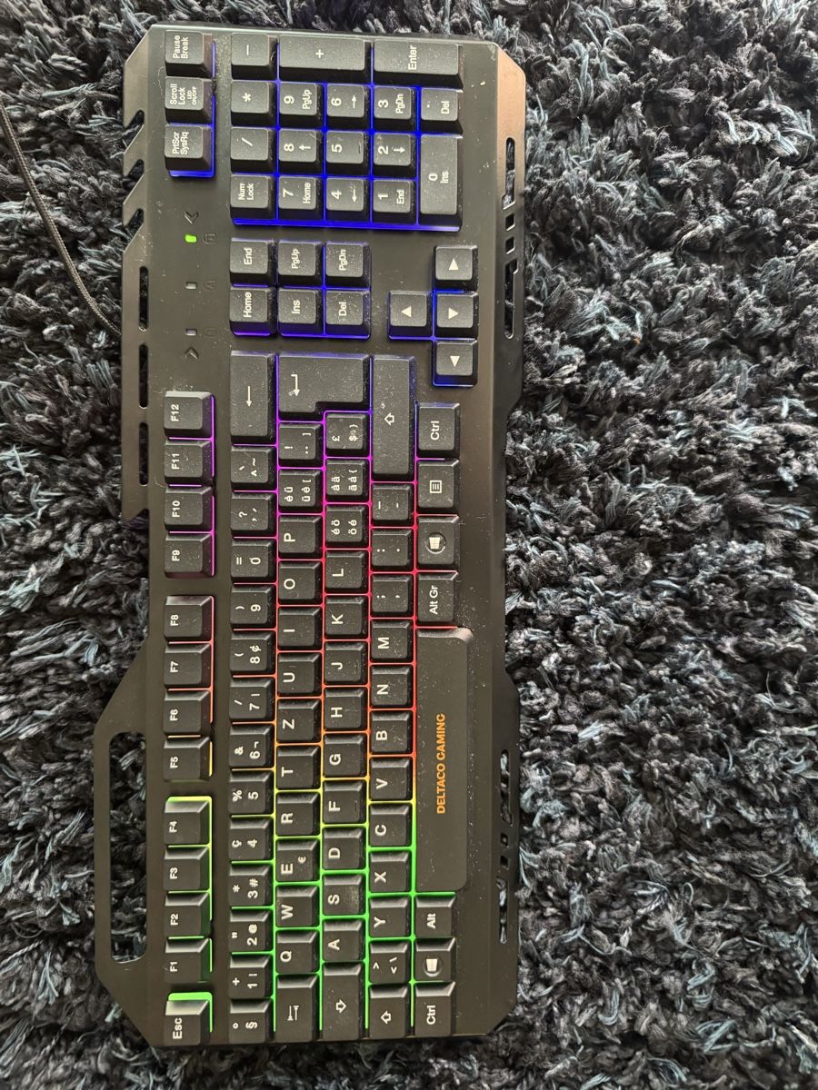 Tastaturen: Deltaco Gaming Keyboard mit LED – Neu (gemäss Beschreibung) aus Luzern von Neonpigeon