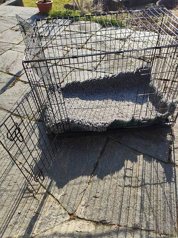 Gabbie, trasporto & Sicurezza: Hundegitter mit Decke – Usato da Kernenried venduto da Lemoger