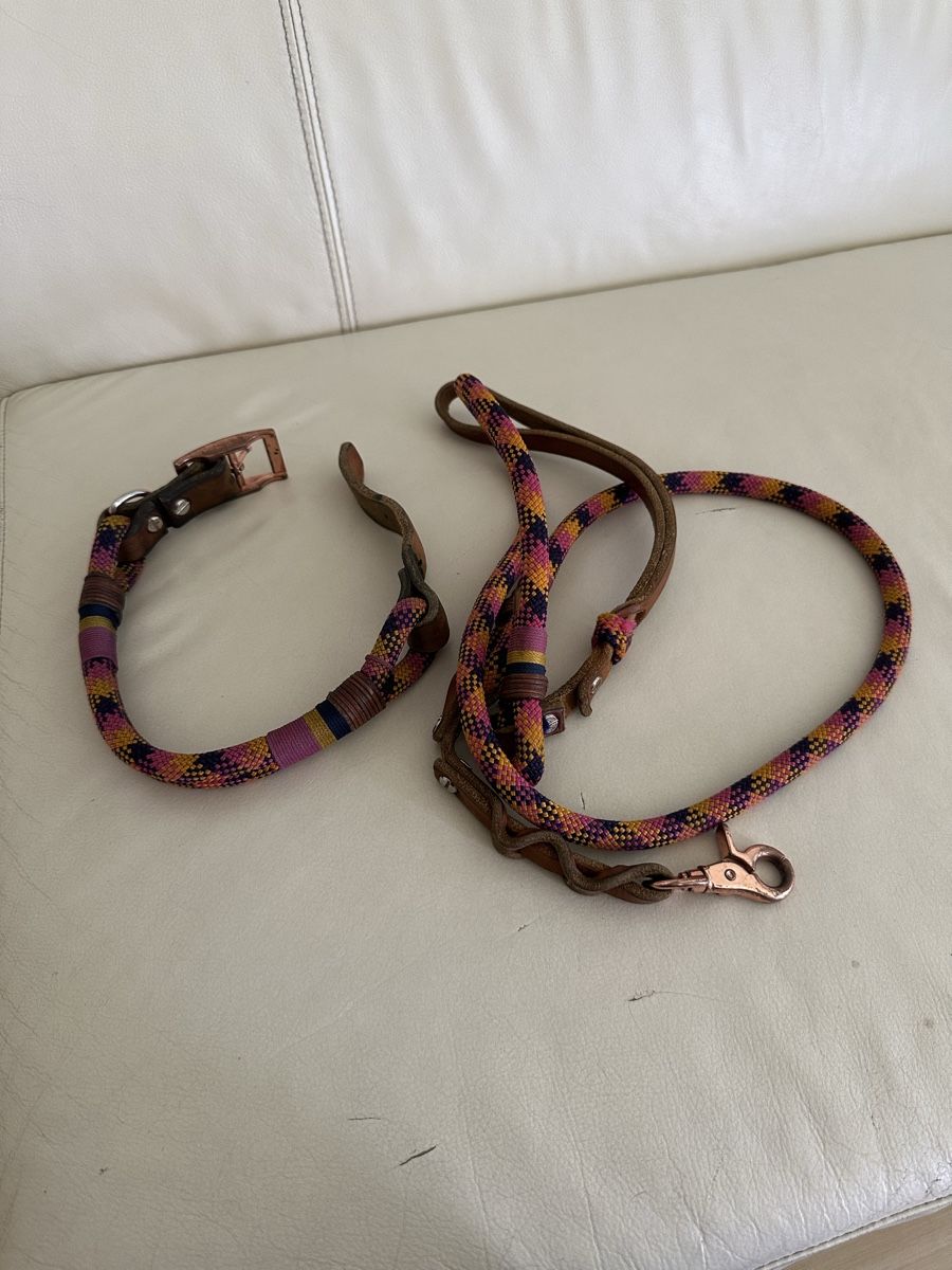 Leine & Halsband: Schönes Leinen und Halsband Set – Gebraucht aus Buttikon SZ von TamaraS01