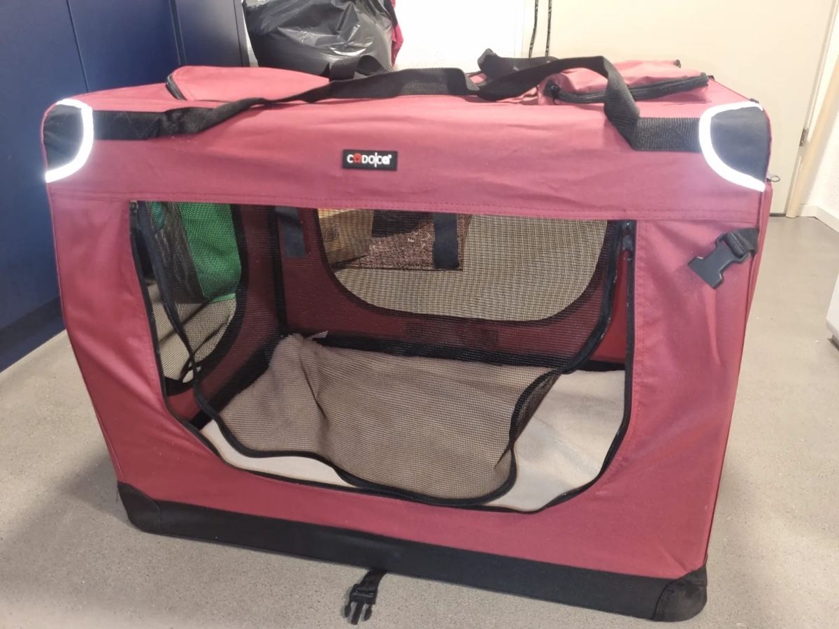 Cucce & Letti: Hundetransport box – Nuovo (secondo la descrizione) da Luzern venduto da Mangolina