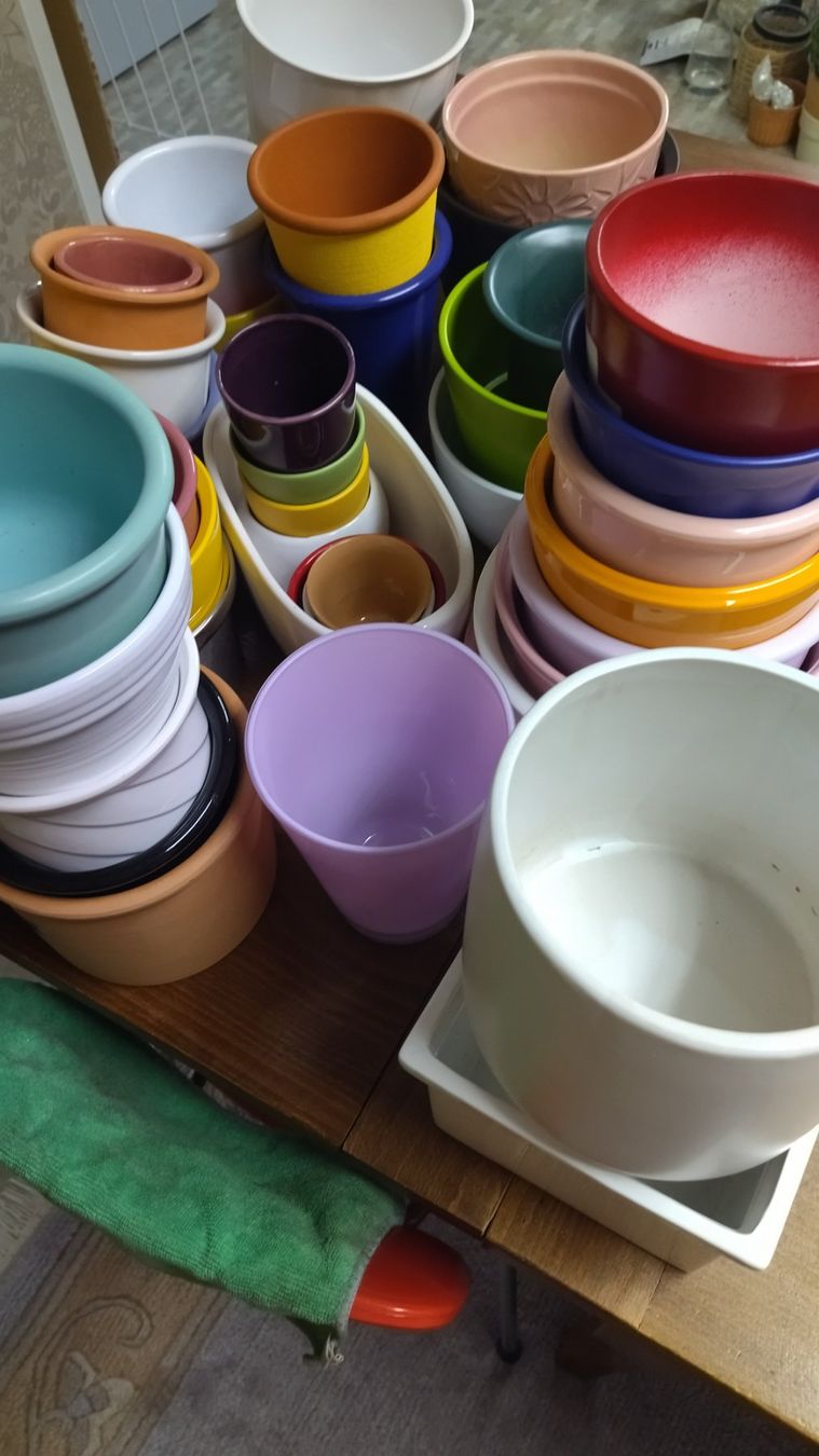 Pots de fleurs: Blumentöpfe Konvolut – D'occasion à Stein AR par Ceretta 1