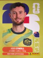 Panini AUS14