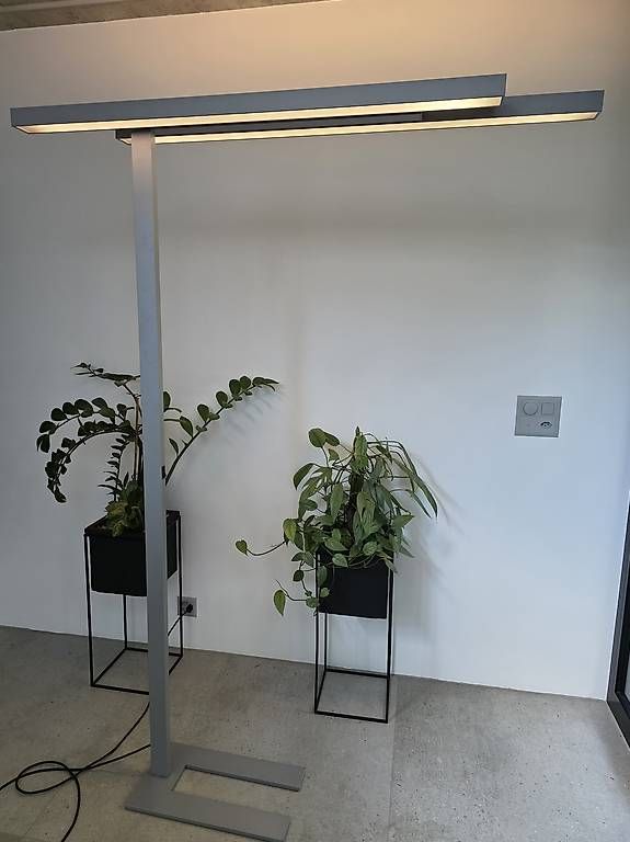 Lampade: Trilux Stehleuchte Bürolampe – Usato da Starrkirch-Wil venduto da NHA01 1