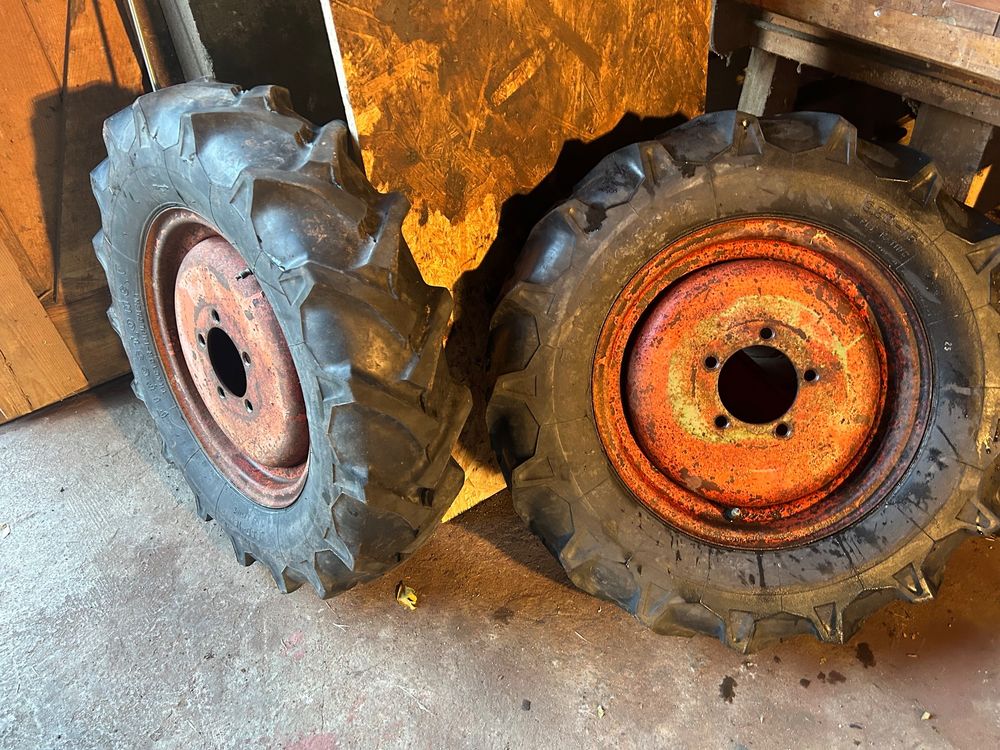 Schilter 2000 Kaufen auf Ricardo