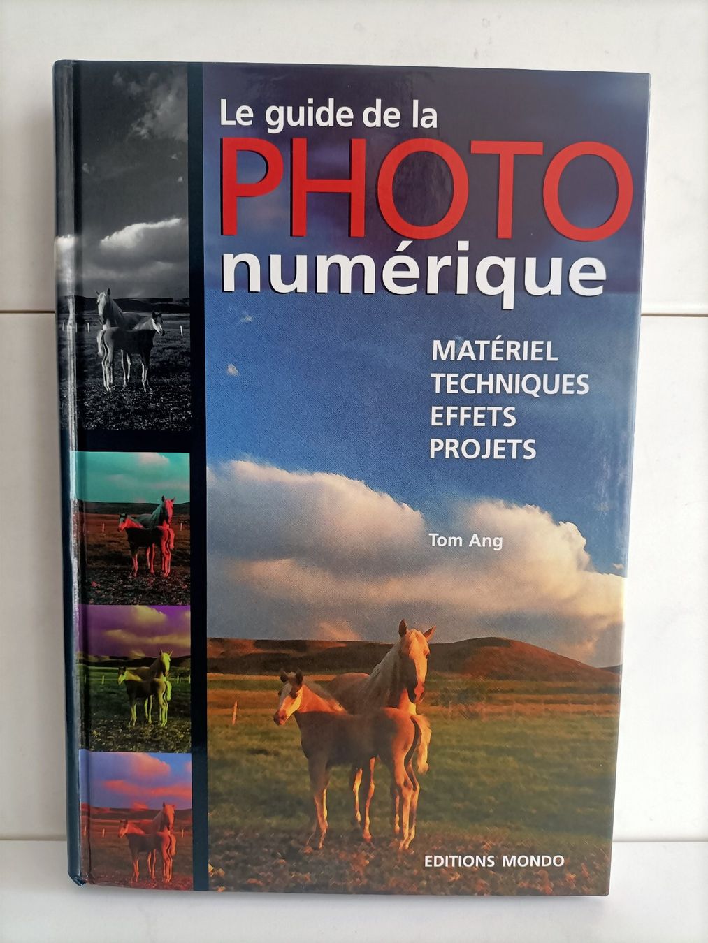 Libri: Le guide la photo numérique - Matériel - Techniques - Effets – Usato da crans montana venduto da AB3963