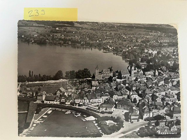 Cartoline postali: Alte Ansichtskarte Rapperswil mit See und Burg – Usato da Niederwil AG venduto da dahu75