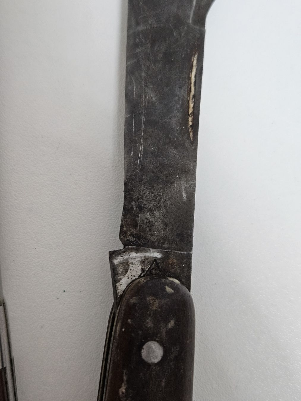 Schweizer Armee Coltelli tascabile: 3 Taschenmesser, Schweizer Armeemesser – Usato da Schlieren venduto da Bestleo 4