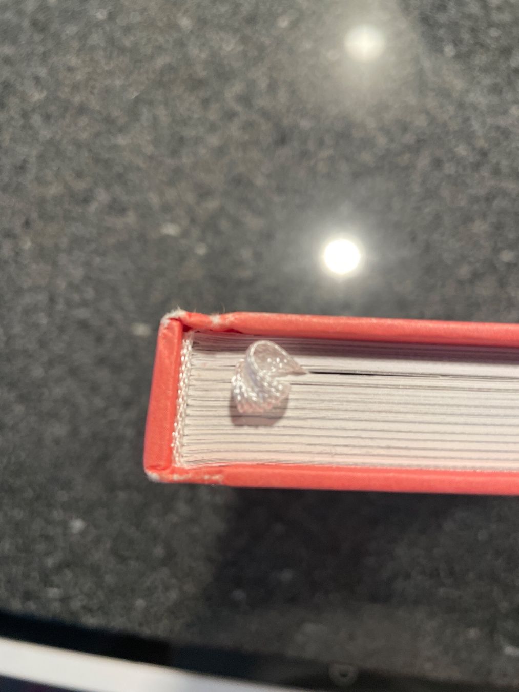 Libri: Saucen & Pasta Kochbuch Landliebe Verlag – Nuovo (secondo la descrizione) da Hünenberg venduto da 4everbl 1