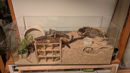 Terrarium Gehege Nagertier/Hamsterkäfig Glas mit Zubehör