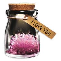 Wunschblume aus Kristall - I love you