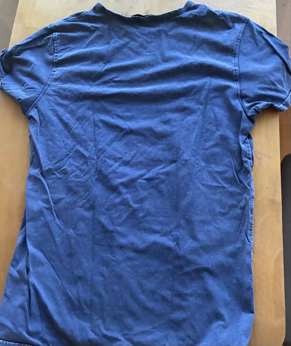 T-shirt: Scotch & Soda T-Shirt – Usato da Baden venduto da Goldbaum 2