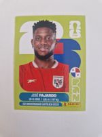 Panini Sticker PAN17