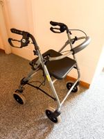 Rollator mit Sitz & Feststellbremsen (Klappbar)