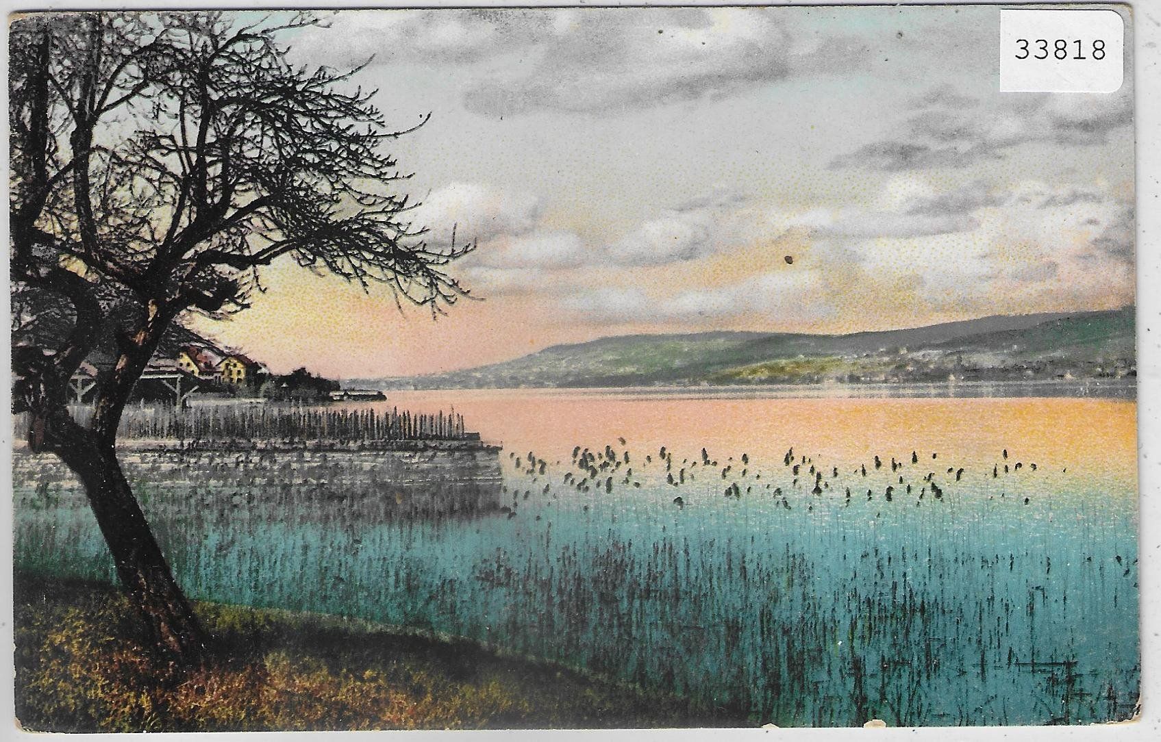 Cartoline postali: Am Zürichsee - Litho – Usato da Ettingen venduto da Kartenplanet