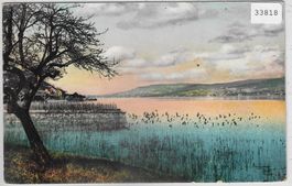 Am Zürichsee - Litho