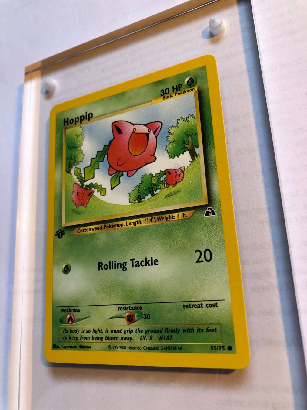 Sammelbilder & Trading cards: Hoppip 1st Neo Discovery - MINT - ab 1.- – Gebraucht aus Giubiasco von dan_pr8b 2