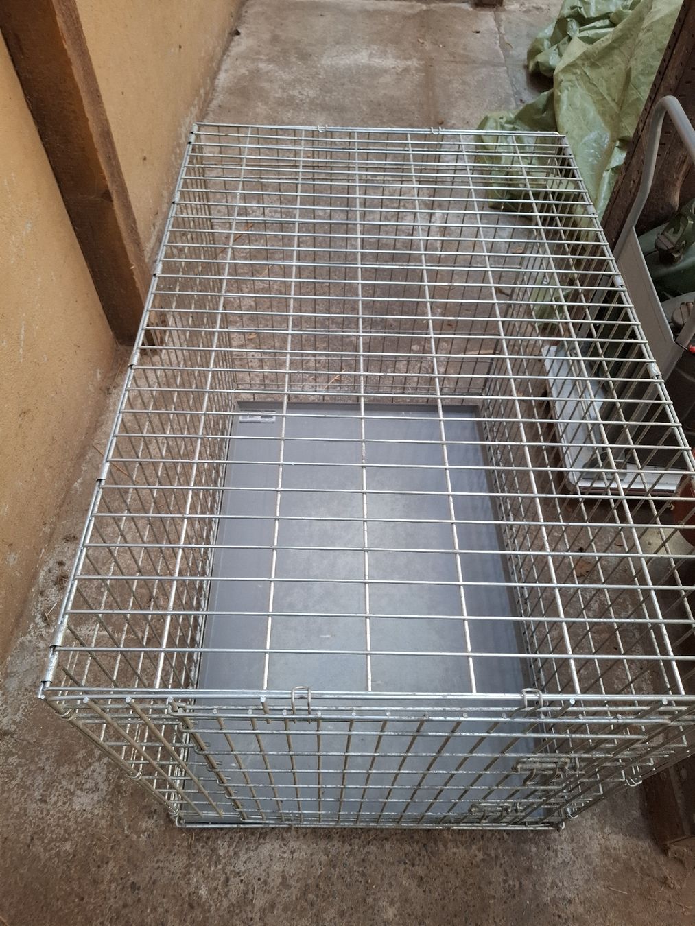 Käfige, Transport & Sicherheit: Hundeboxe – Gebraucht aus Birmenstorf AG von kildareeins 4