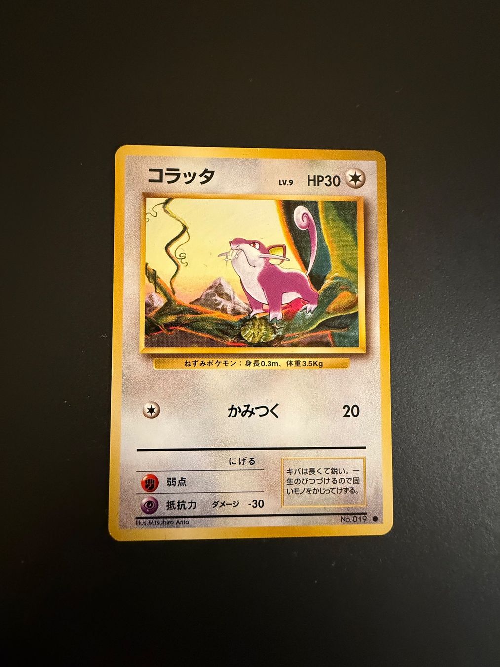 Pokémon Carte collezionabili: Rattata No. 019 Base Set Japanese – Usato da Zürich venduto da pokemon_cards
