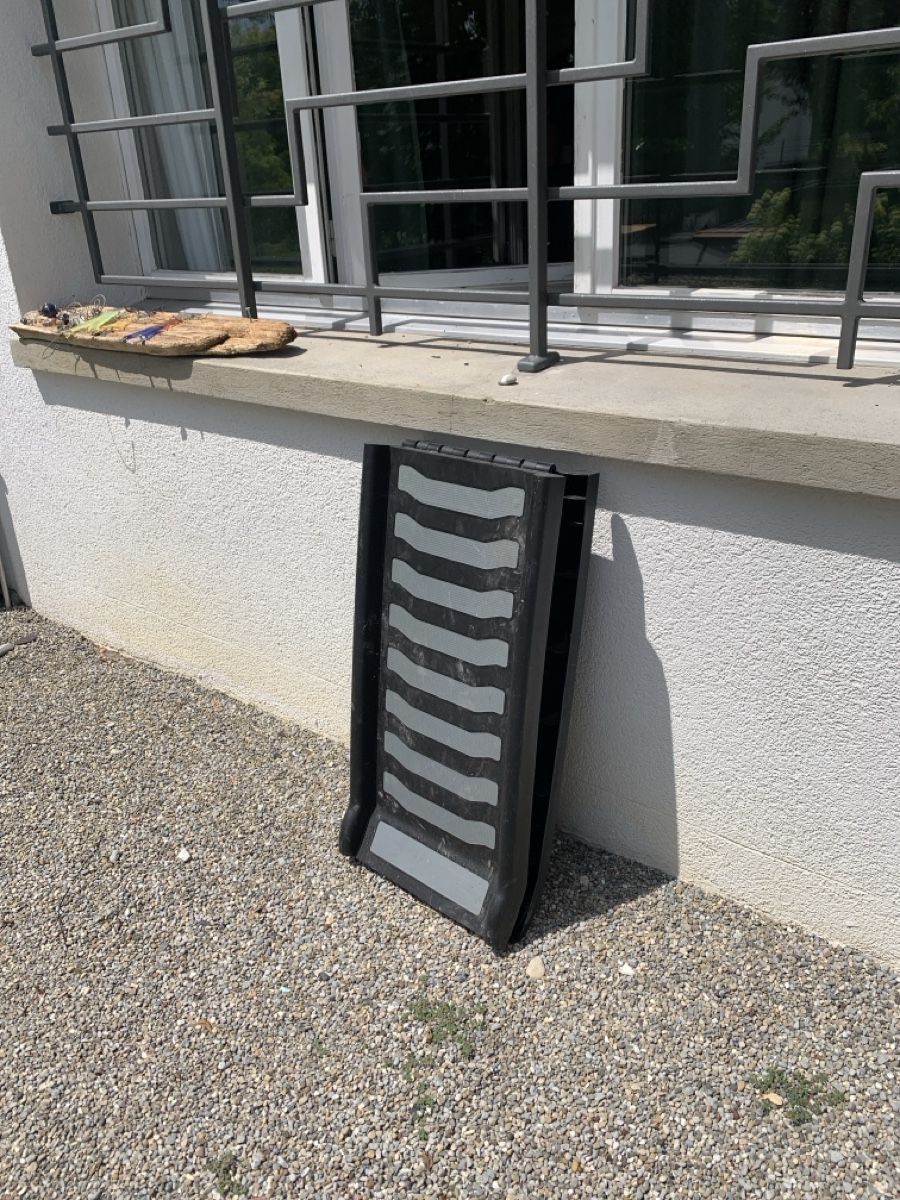 Cages, transport & sécurité: Hunderampe einklappbar – Neuf (Voir description) à St. Gallen par retomuesl12