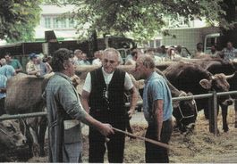 "Das andere Altstätten SG":12 Karten