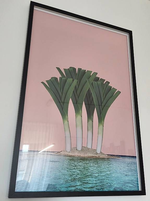 Foto & Immagini: Palm Beach Lauch Poster 90x60 – Usato da Bern venduto da DerLemming