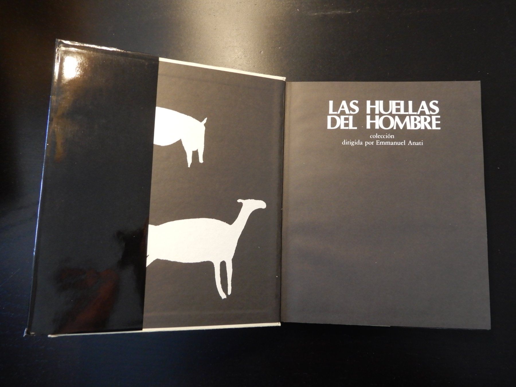 Libri: Arte Rupestre de la Argentina (Spanisch) – Usato da Erstfeld venduto da Mario_boe0 1
