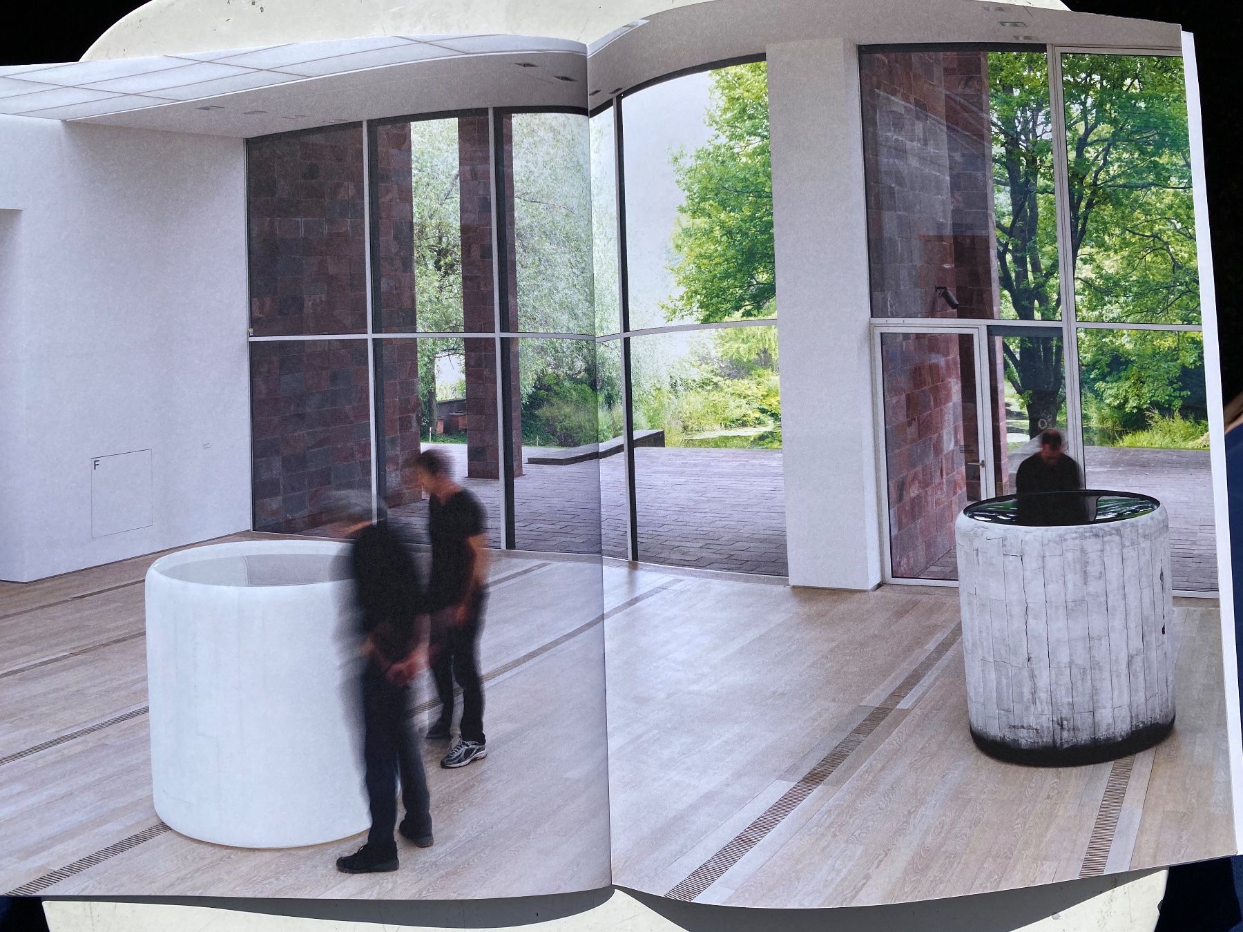 Libri: Roni HORN - A ROSE ROSE - Islands – Usato da Zürich venduto da lesgarcons