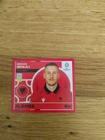 🤩 ALB 9 - Topps Euro 2024 Sticker