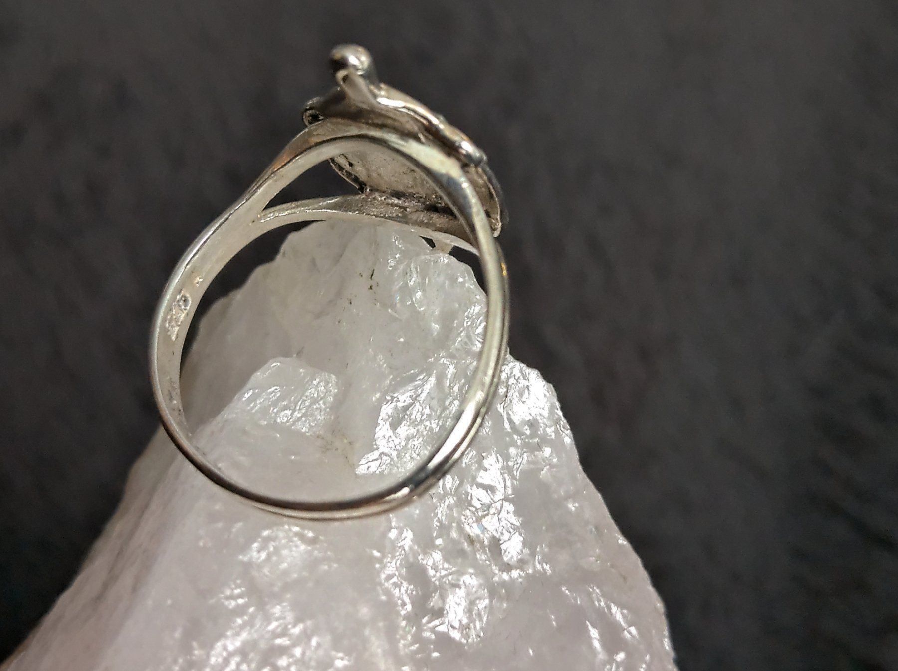 Anelli: Ring Silber 925 Schildkröte – Usato da Istighofen venduto da Ringparadies 1