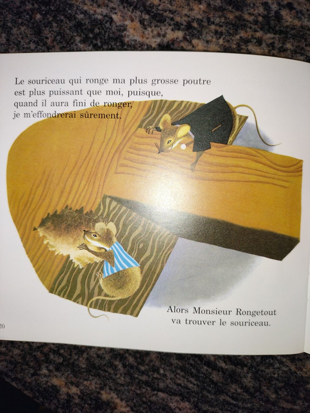 Bücher: Lot de 4 Les Mini Castor 3 - 5 ans – Gebraucht aus Cortaillod von rozinna 4