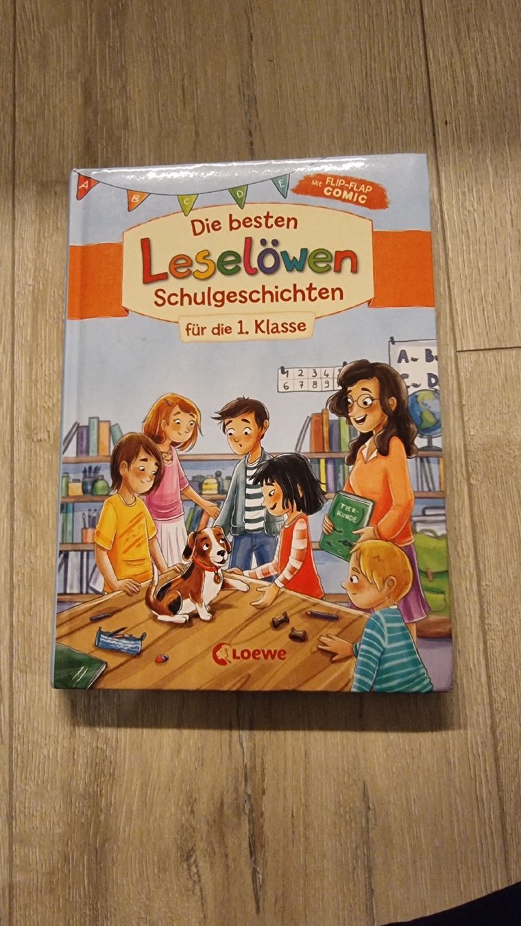 Libri: Leselöwen Schulgeschichten 1. Klasse – Usato da Wigoltingen venduto da Zuckerfee84