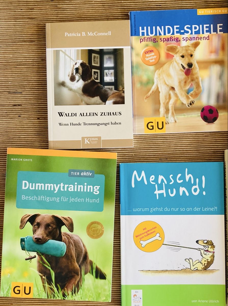 Bücher: Hundeerziehung – Gebraucht aus Läufelfingen von petit-nicola 1