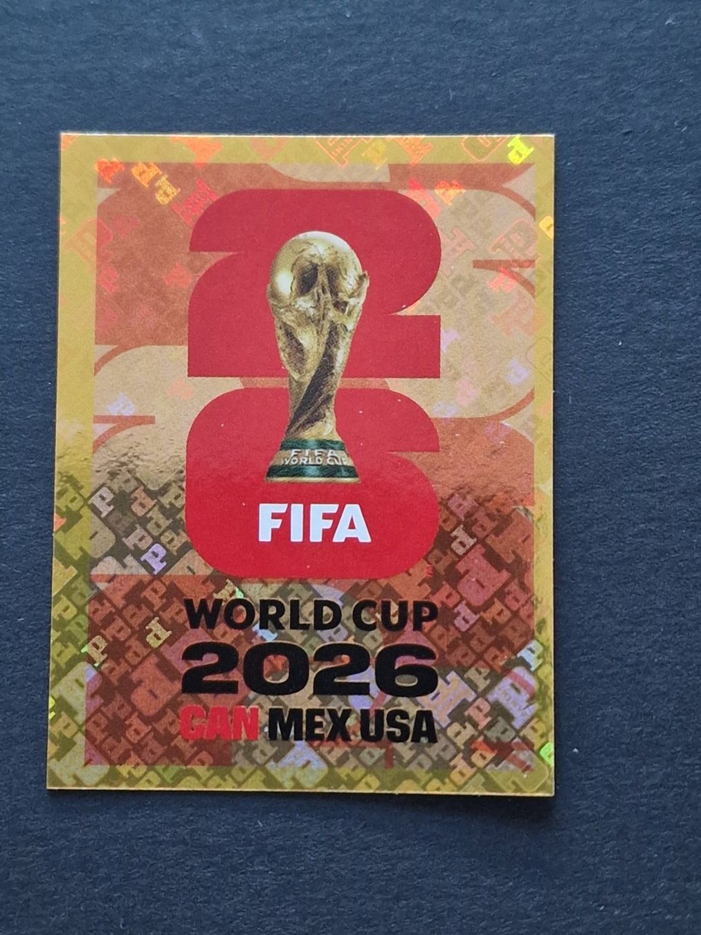 Panini Carte collezionabili: Panini - FWC 6 – Nuovo (secondo la descrizione) da Bouveret venduto da psv01