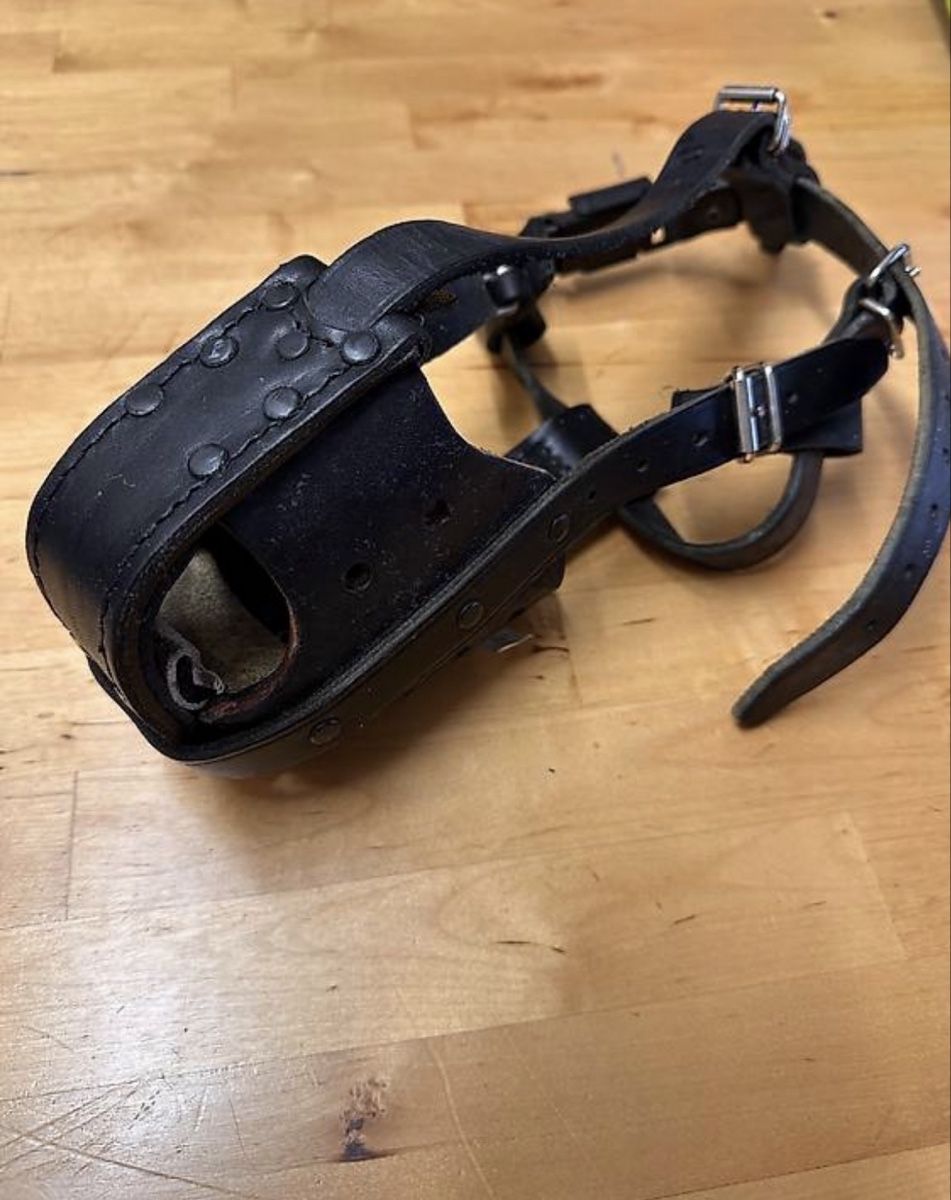 Cucce & Letti: Hundemaulkorb – Usato da frenkendorf venduto da Marcel807 2