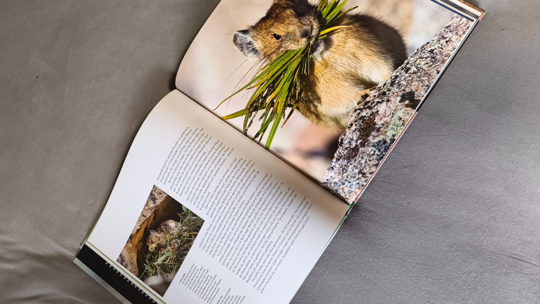 Libri: Sammlung von Sachbüchern – Usato da Menziken venduto da mat_6mtj 6