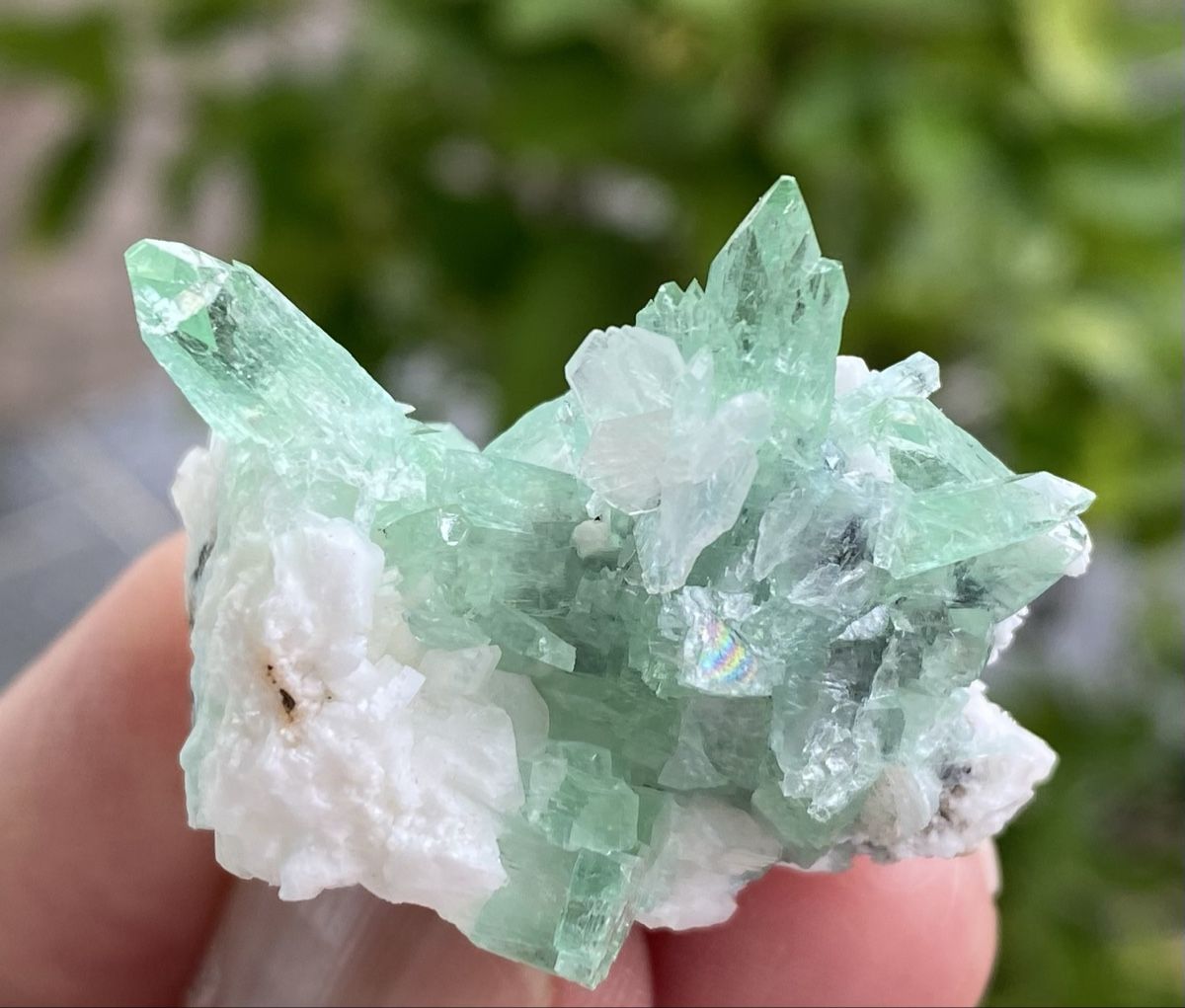 Mineralien & Heilsteine: Wunderschöne Apophyllit Stufe Indien  – Gebraucht aus Selzach von 321compac 1