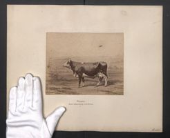 Fotografie Internationale Landwirtschaft