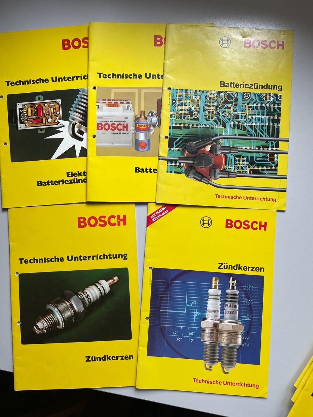 Libri: 15 Bosch Bücher – Usato da Appenzell Steinegg venduto da Wurzlers 1
