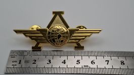 Pin Aviatik